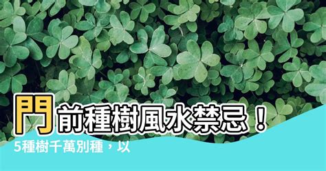 門前風水樹|5種門前樹風水禁忌要注意